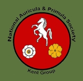 Kent auricula primula logo